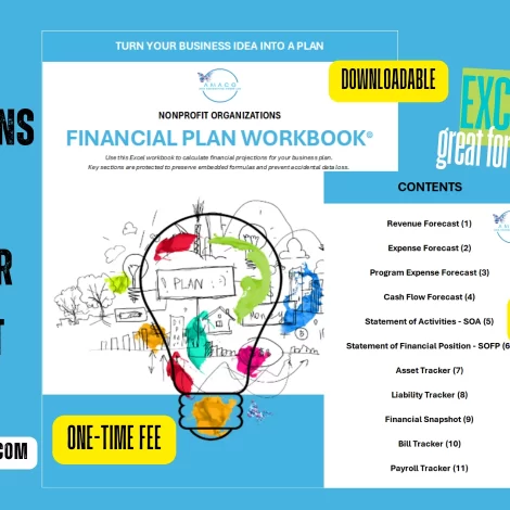 Nonprofit Financial Plan Workbook©